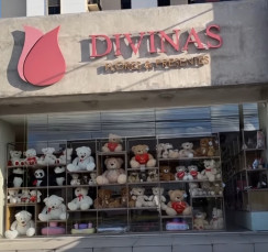 DIVINAS FLORES E PRESENTES - MACEIÓ