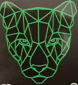 DR CAR DETAIL - PENEDO