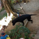 related3